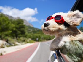  Anti-Stress-Auszeit im Grünen