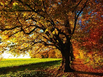 Herbst-Romantik für Alleinreisende ab 45