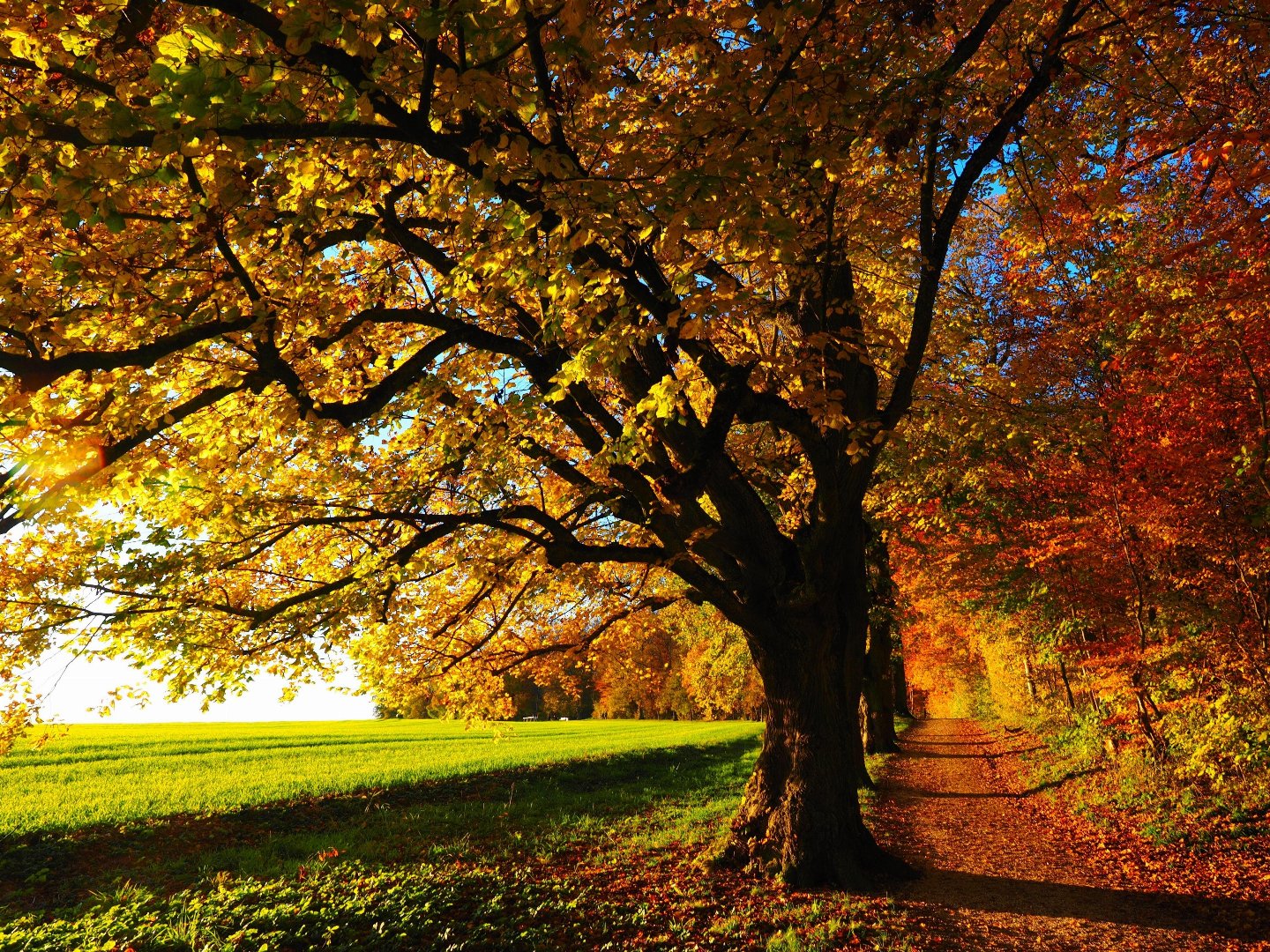 Herbst-Romantik für Alleinreisende ab 45