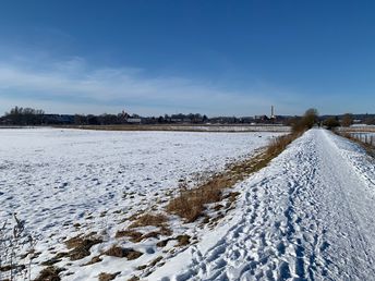 Bild 24 von 26