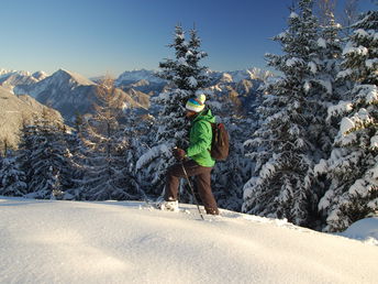 Bild 31 von 36