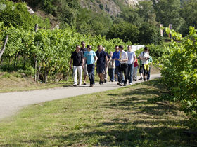 Wine.Special in der Wachau inkl. 7-Gang-Degustationsmenü, Massage & Schnapsverkostung | 2 Nächte