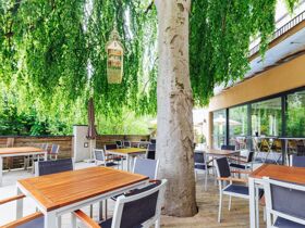 Erholung im Schilcherland  1 Nacht