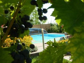 Erholung und neue Energie sammeln in der steirischen Weinbauregion | 1 Nacht