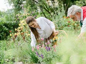  Schnuppern im Dirndltal inkl. 3,5-Gang-Dinner | 1 Nacht