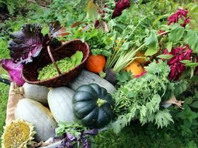  Schnuppern im Dirndltal inkl. 3,5-Gang-Dinner | 1 Nacht