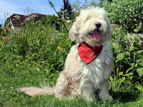  Schnuppern im Dirndltal inkl. 3,5-Gang-Dinner | 1 Nacht