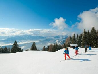 Bild 33 von 36