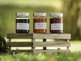 Wohlfühlmomente am Neusiedler See inkl. Thermen Eintritt