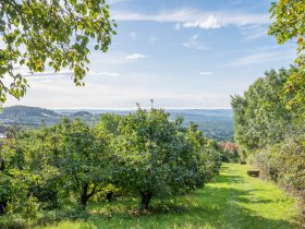 Spür die Natur am Pöllauberg inkl. 4-Gang Menü, Massage & Genusscard | 2 Nächte