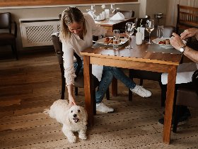 Hundeglück im Eisenberg 3 Tage 2 Nächte, Halbpension, Nachmittagssnack, Hundefreundlich 