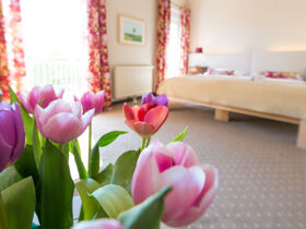 Hundeglück im Eisenberg 3 Tage 2 Nächte, Halbpension, Nachmittagssnack, Hundefreundlich 