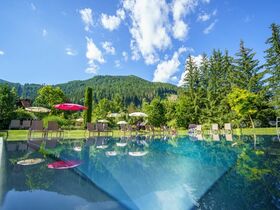 Nockberge Natur pur inkl. Kärnten Card & Bergbahn & Badestrand Millstätter See | 4 Nächte