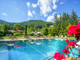 Nockberge Natur pur inkl. Kärnten Card & Bergbahn & Badestrand Millstätter See | 4 Nächte
