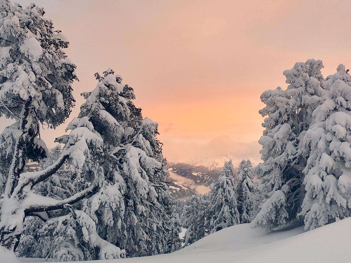  Ostern de luxe im 4* Hotel im Tiroler Zillertal inkl. HP| 2 Nächte