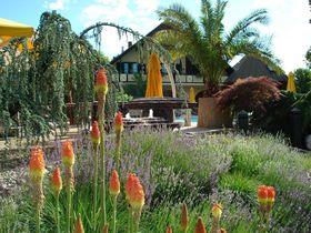 Wellness, Lebensfreude & Genuss | Auszeit in Bad Radkersburg inkl. Verwöhnpension | 1 Nacht