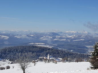 Bild 36 von 37