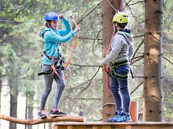 Bild 12 von 37