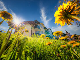 Ländliche Harmonie & gelebte Tradition im Landhotel in der Oststeiermark | 2 Tage