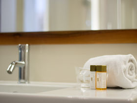 Städtetrip nach Graz mit Ihrem Vierbeiner inkl. Frühstück | ohne zusätzlicher Hundegebühr | 2 Nächte