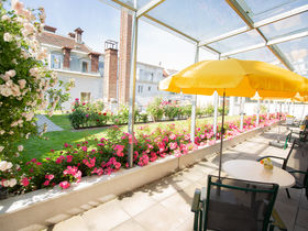 Städtetrip nach Graz mit Ihrem Vierbeiner inkl. Frühstück | ohne zusätzlicher Hundegebühr | 2 Nächte