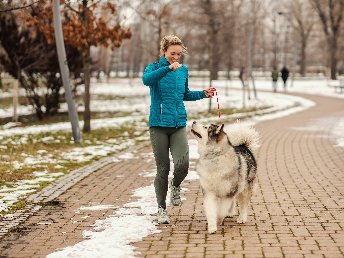 Städtetrip nach Graz mit Ihrem Vierbeiner inkl. Frühstück | ohne zusätzlicher Hundegebühr | 7 Nächte