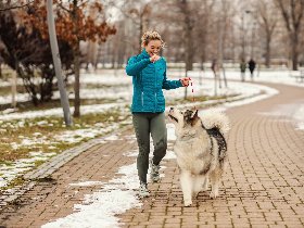 Städtetrip nach Graz mit Ihrem Vierbeiner inkl. Frühstück | ohne zusätzlicher Hundegebühr | 7 Nächte