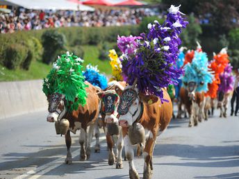 Almabtrieb I Wochenende I 2 Nächte 