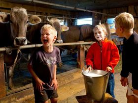 Wunderbare Weihnachtszeit im Bregenzerwald inkl. Kinderbetreuung