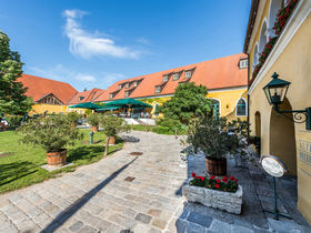 Genusstag im Weinviertel -  abschalten & genießen im VinoSPA | 1 Nacht