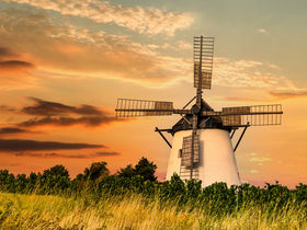 Genusstag im Weinviertel -  abschalten & genießen im VinoSPA | 1 Nacht