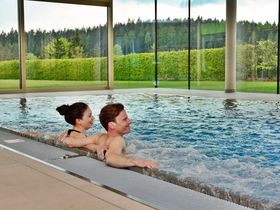 Vorweihnachtszeit im Waldviertel genießen inkl. 5-Gang Menü | 7 Nächte