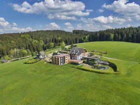 Vorweihnachtszeit im Waldviertel genießen inkl. 5-Gang Menü | 7 Nächte