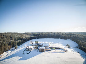 Vorweihnachtszeit im Waldviertel genießen inkl. 5-Gang Menü | 7 Nächte