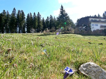 cool down - chill out inkl. Panoramablick Lavanttal auf 1.500m Seehöhe | 3 Nächte 
