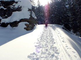 Raus in die Natur - Kurzurlaub auf der Alm im Lavanttal | 2 Nächte 
