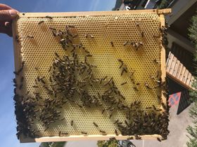 Salzburg erleben - Städtetrip vom Feinsten | 1 Nacht