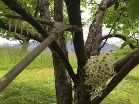 Bergsilvester in Innsbruck / Hall in Tirol | 6 Tage