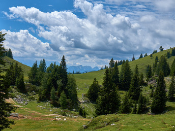 Bild 20 von 22