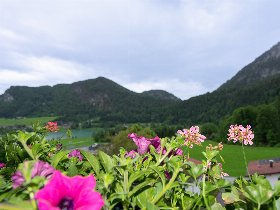 3 Tage Schnupper-Urlaub inkl. Kufstein Card im Bio Landhaus Seethaler