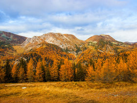 3 Übernachtungen inkl. Skipass im Jänner