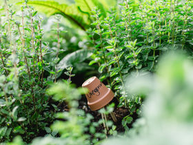 Schneeschuhwandern.....auf Winters Spuren