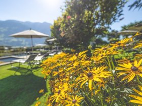 Vinoble Wellness Schnuppertage inkl. Red Grape Bath im Zillertal
