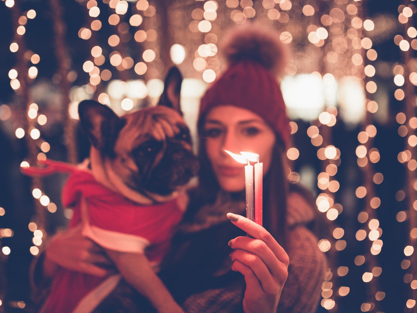 Den Advent in Graz erleben – Das Herz der Steiermark leuchtet | 7 Nächte