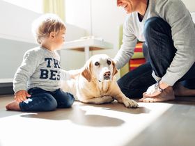 3 Tage Harry’s Family Fun in der Millennium City