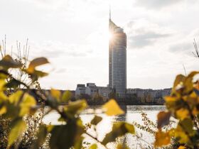 5 Tage Harry's 4=3 Aktion 2027
