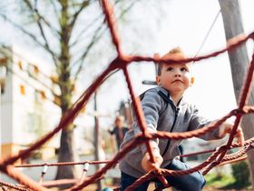 Steirisches Backhendl für harry's Gäste - 3 Tage 2 2025