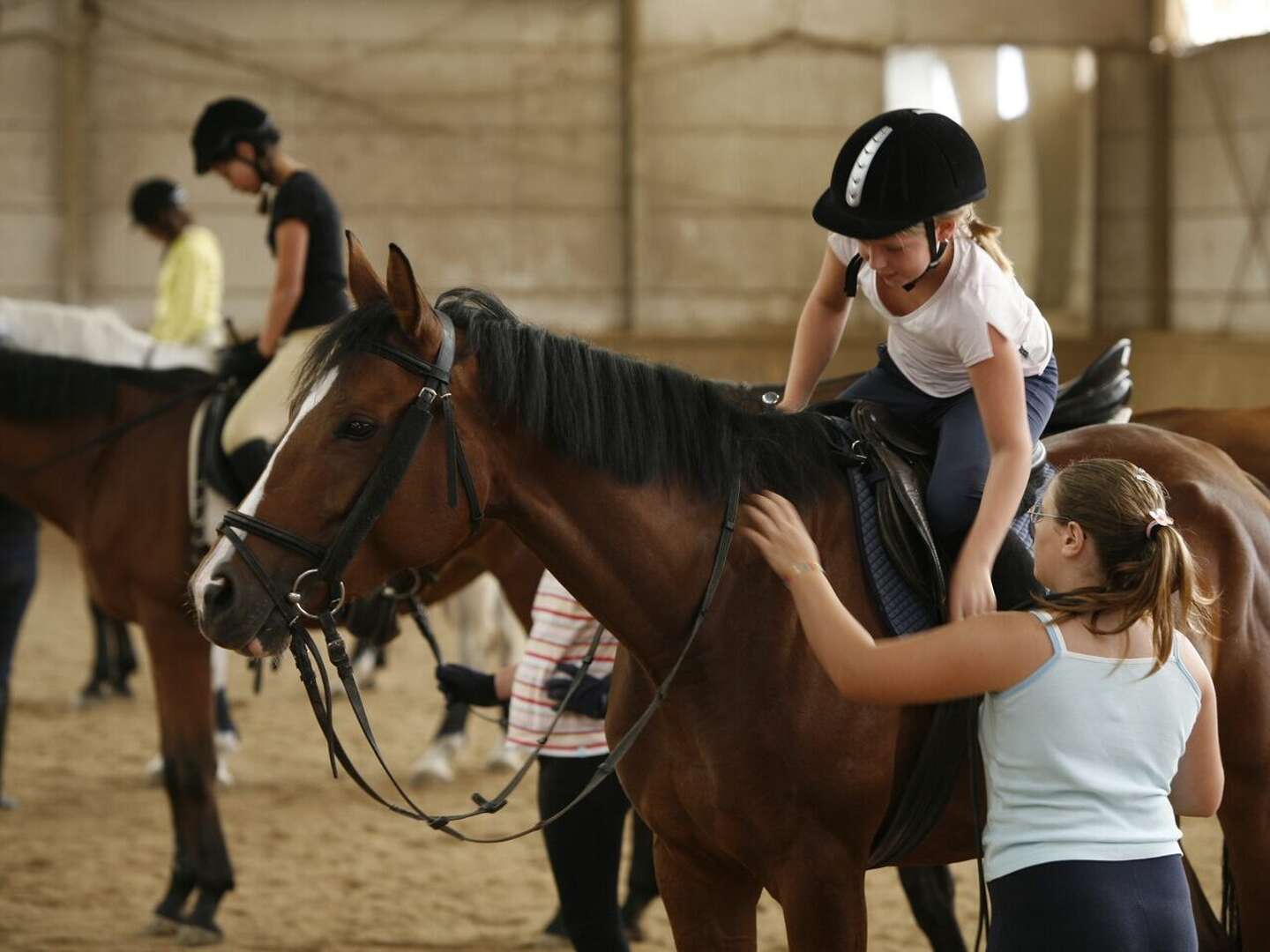 Wienerwald hoch zu Ross - Reiterlebnis für Pferdefreunde | 1 Nacht