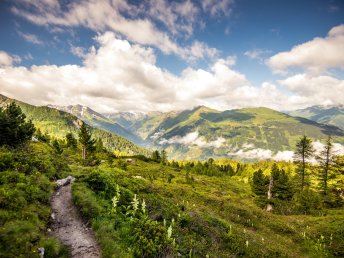 Sommerurlaub - Wandern im Gasteinertal inkl. Therme & Vorteilskarte | 2 Nächte