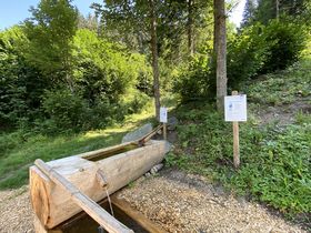 Winterauszeit in der Salzburger Sportwelt